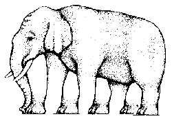 Слоник с ногами